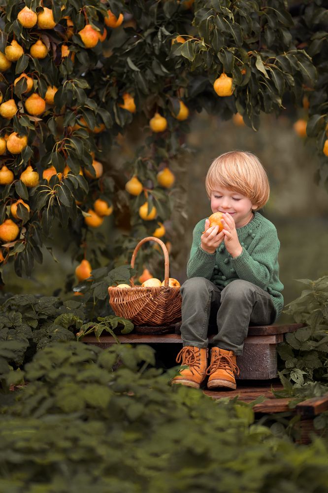 Дедушкин урожай