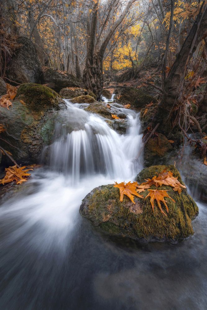 Photograph by Ahmad Mostafapour