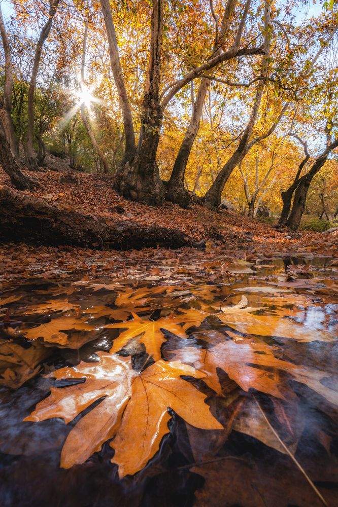 Photograph by Ahmad Mostafapour