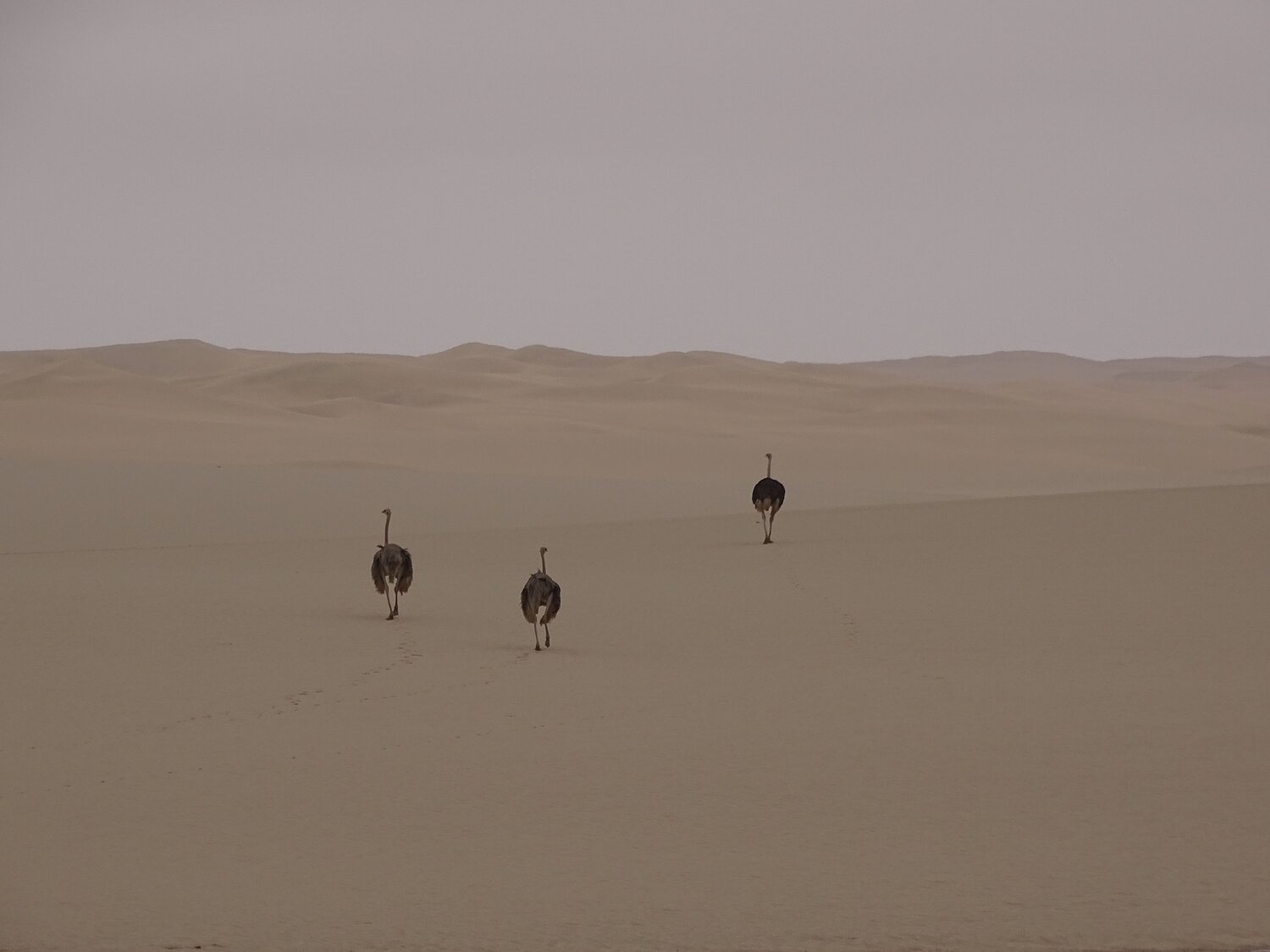 Photo #7106783