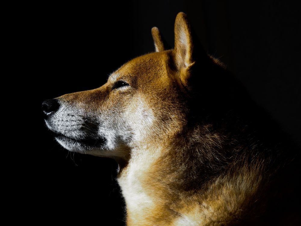 Фотография автора Madina