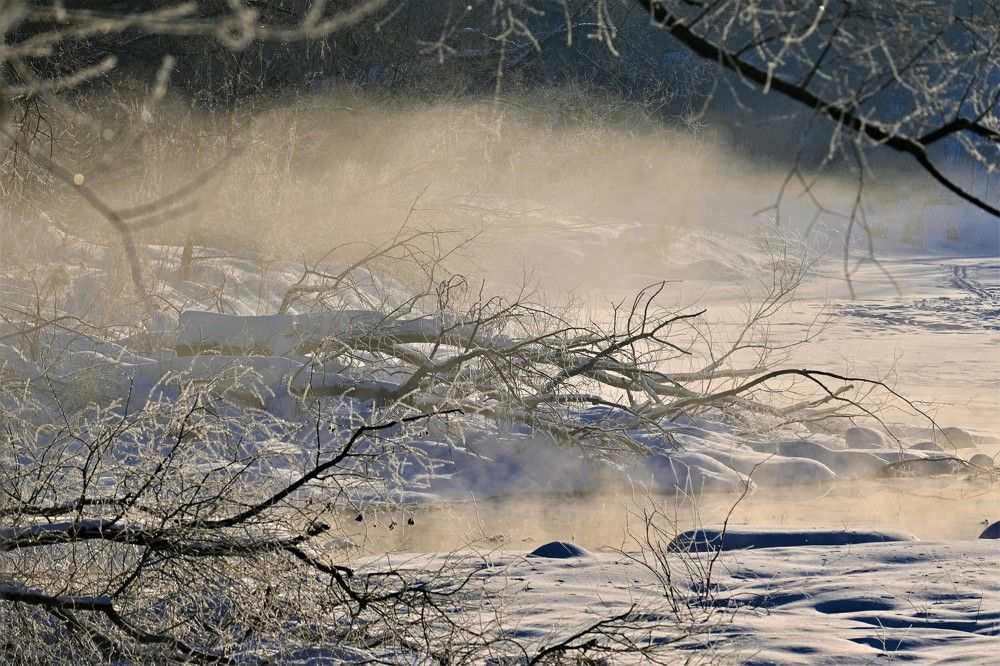 Фотография автора IRINA FILIPPOVA