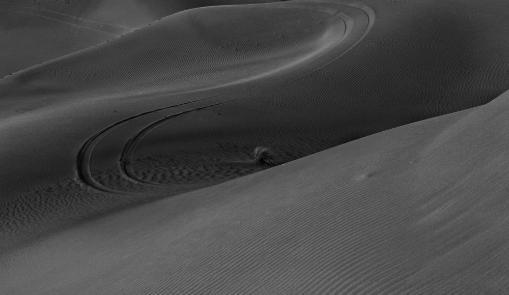 Photograph by minta samiei