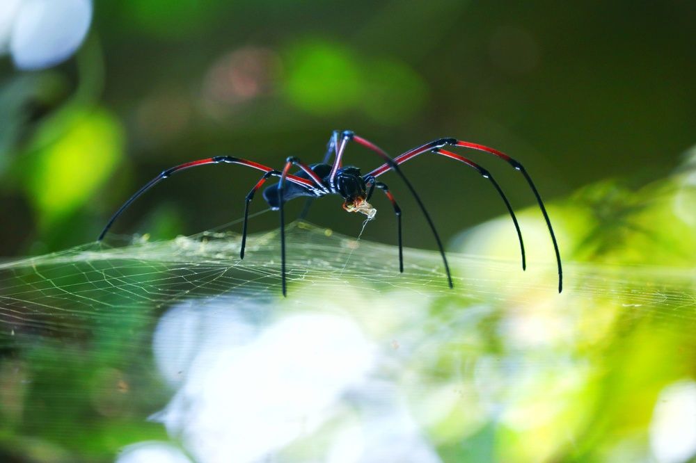 Photograph by Bepary Norullah
