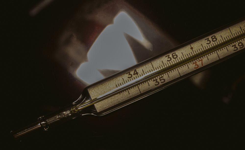 Photograph by Анжелика Трошина