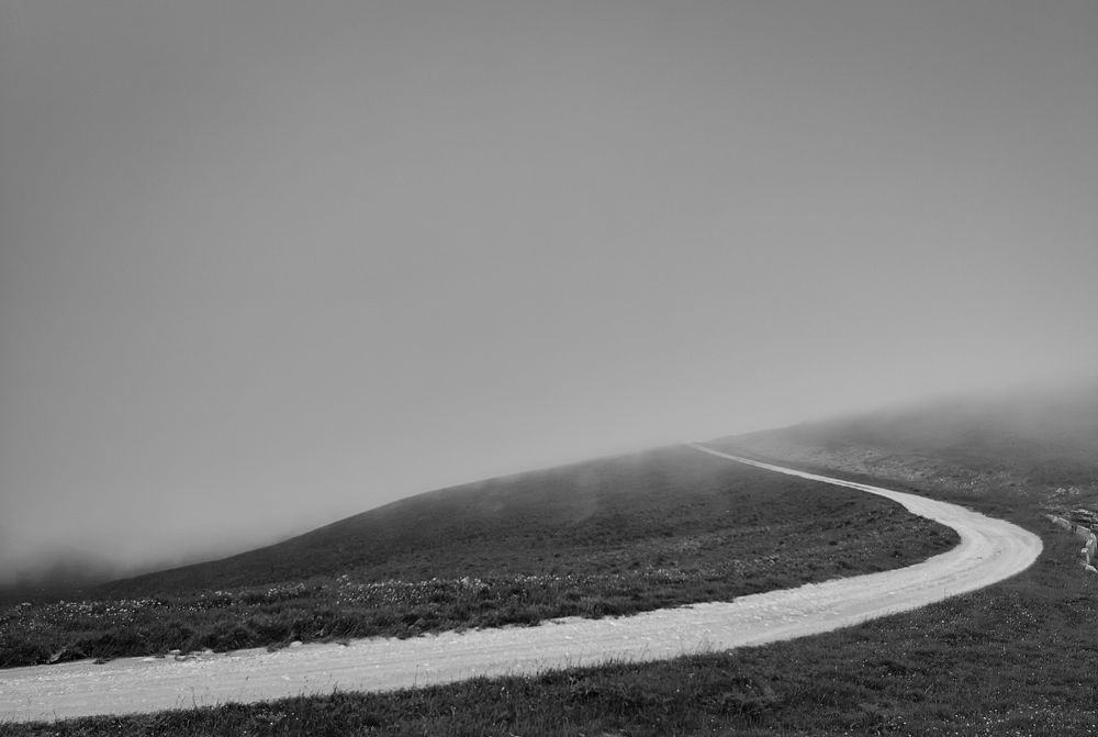 Photograph by 