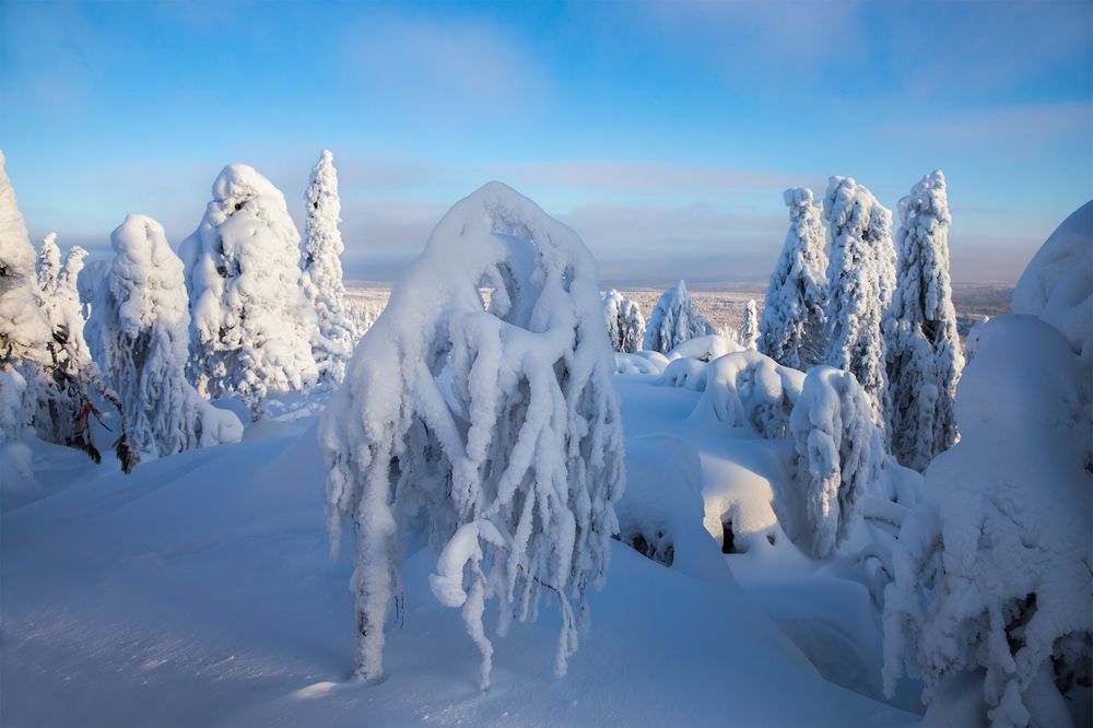 Photograph by Сергей Чарушин