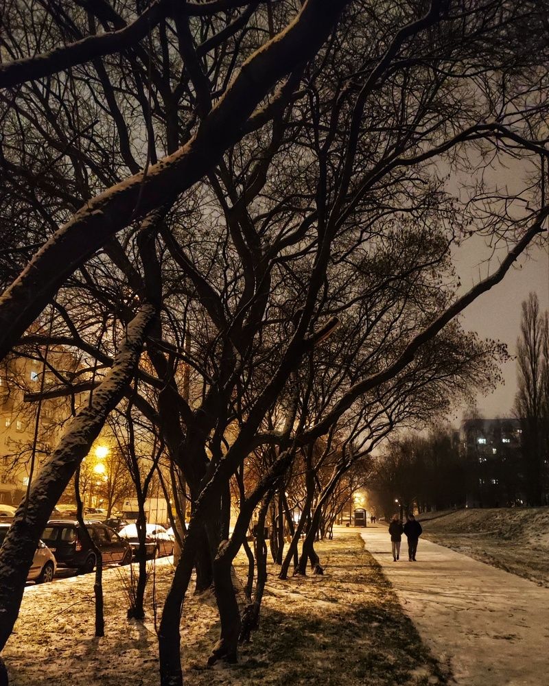 Вечерняя прогулка