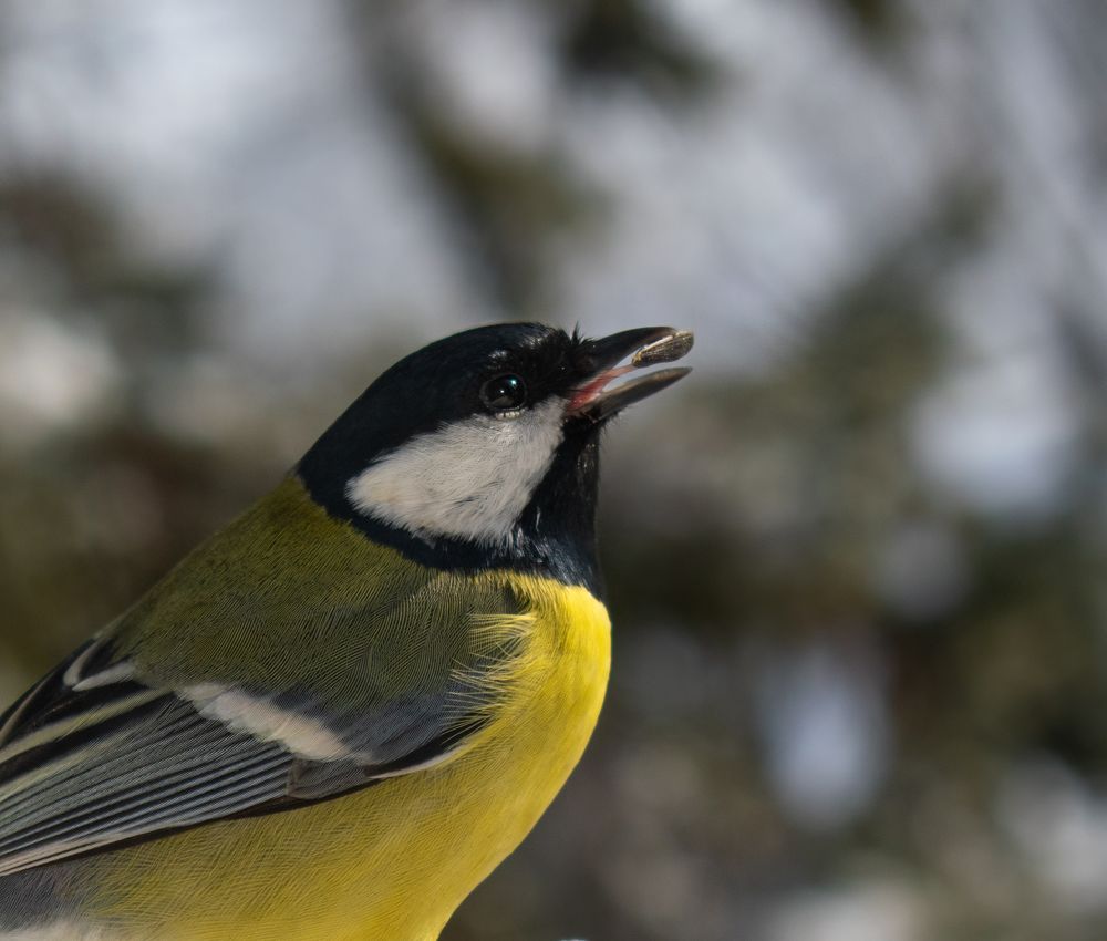 Photograph by Elena Lopatina