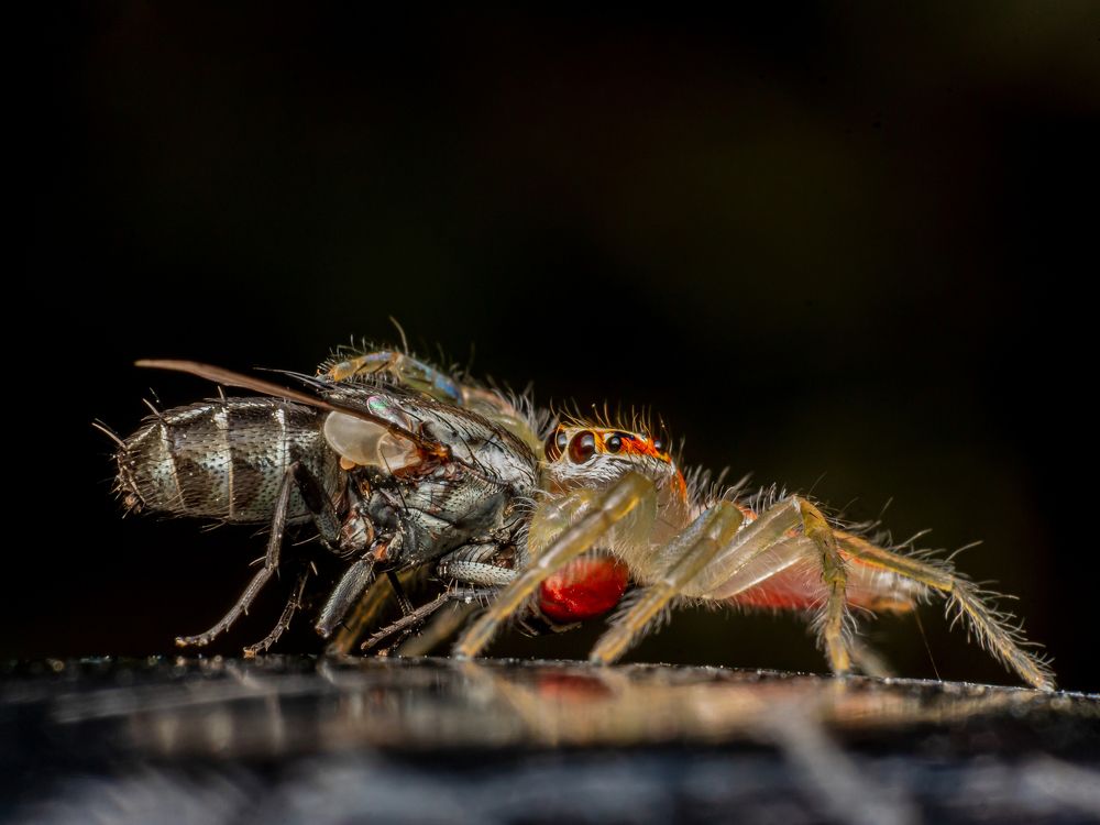 Photograph by Khirud Borah