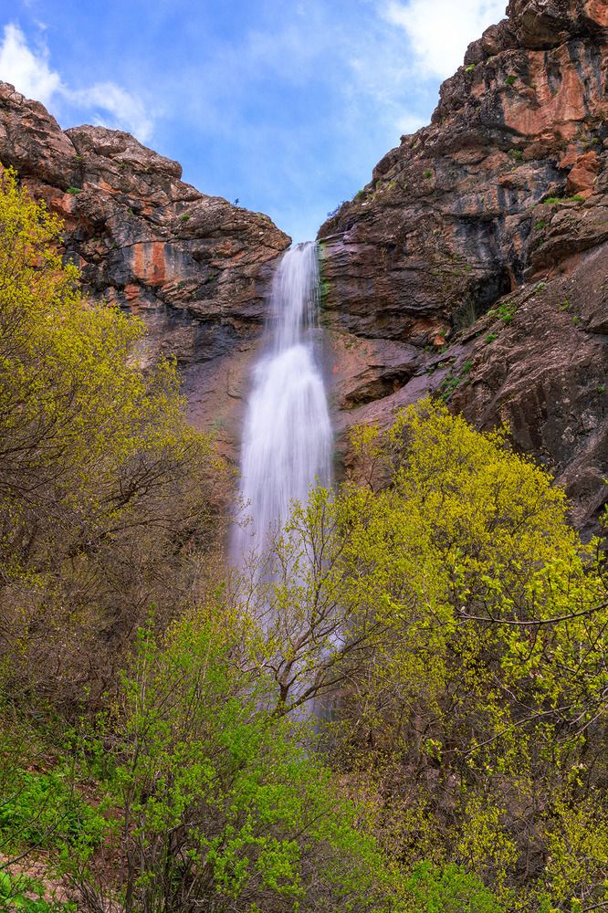 Photograph by shahoo moradi