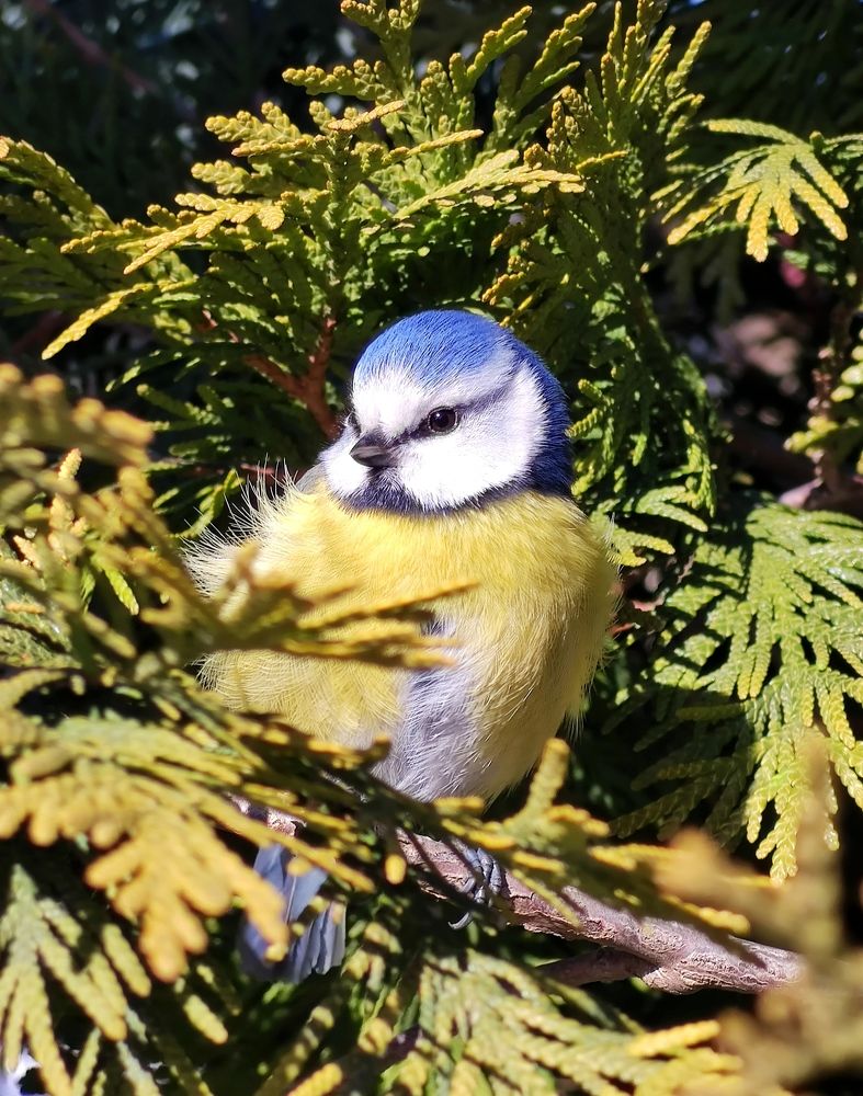 Photograph by Инна Макарчук