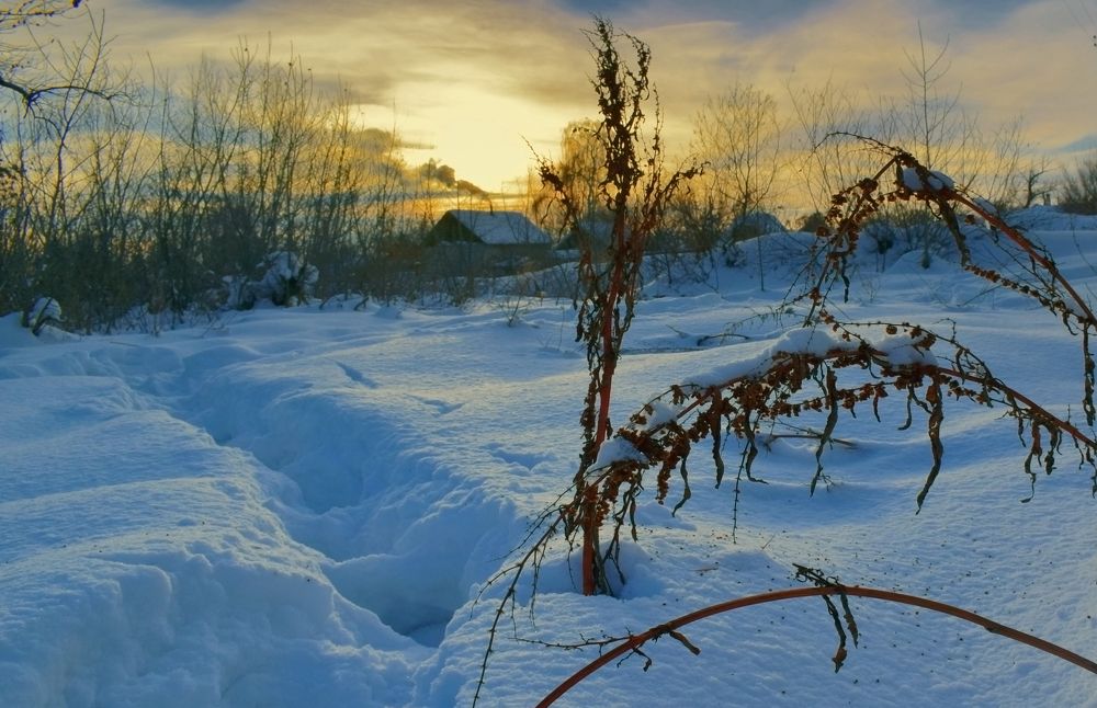 Photograph by Татьяна Дорожко