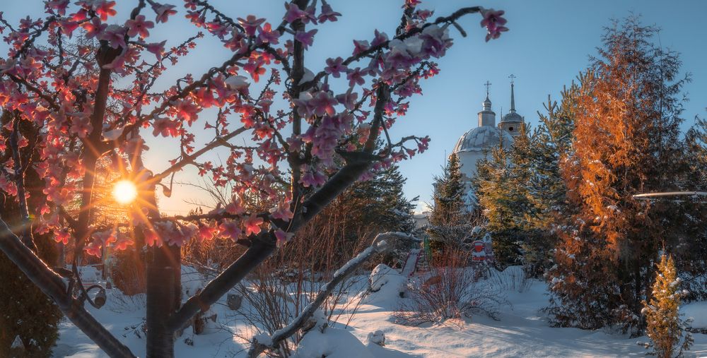 Photograph by Виктор Карнеев