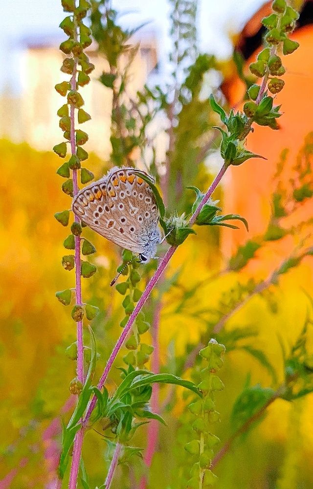 Фотография автора Наталья Синицына