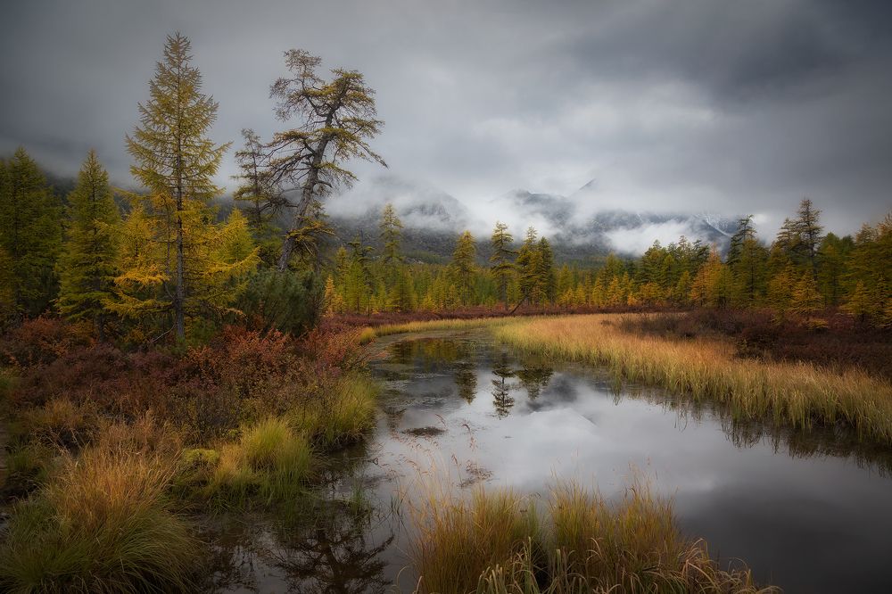 Затерянный мир