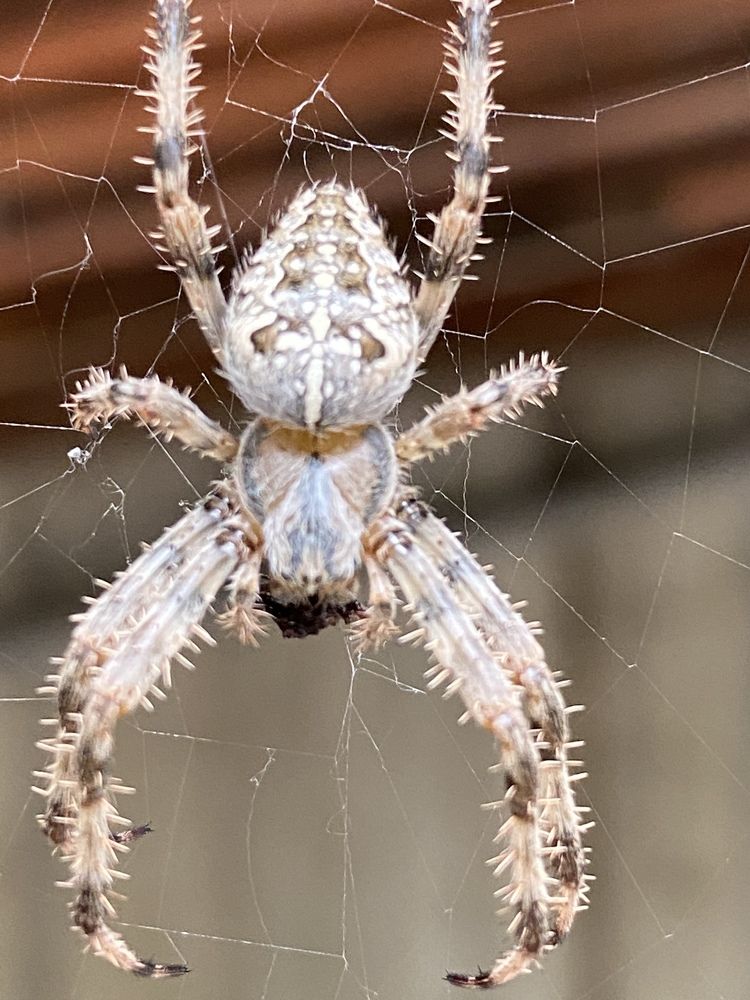 Photograph by Ольга Петухова