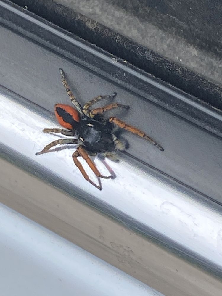 Photograph by Ольга Петухова