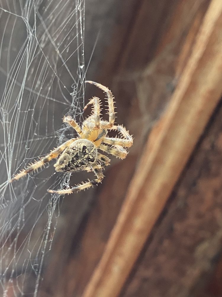 Photograph by Ольга Петухова