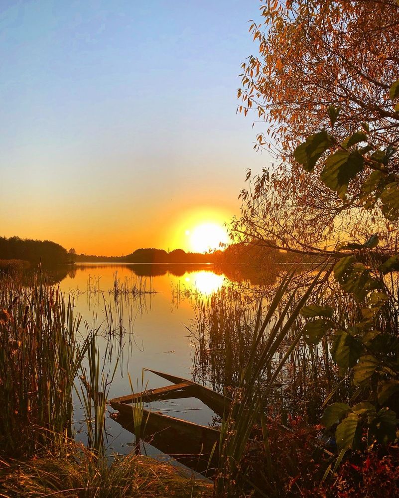 Photograph by Лариса