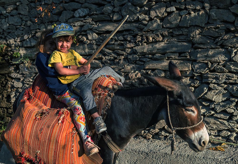 Photograph by shahoo moradi