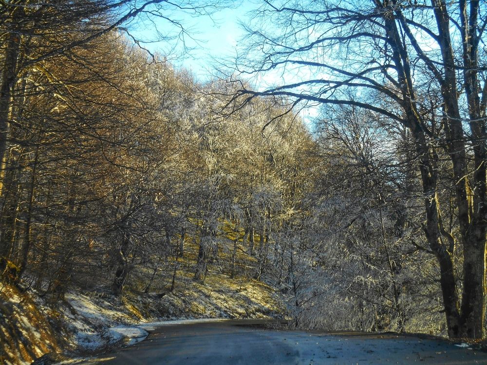 Photograph by Nino Obgaidze