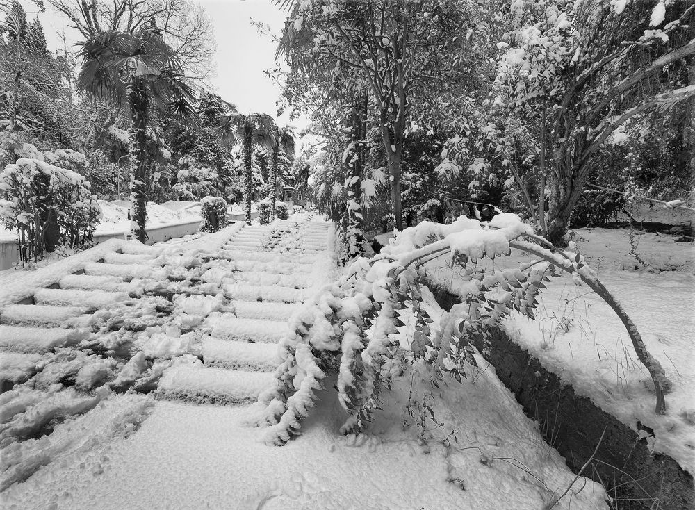 Photograph by Владимир Кривенко