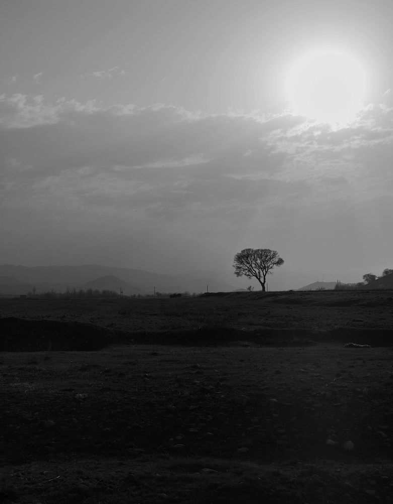 Photograph by shahoo moradi