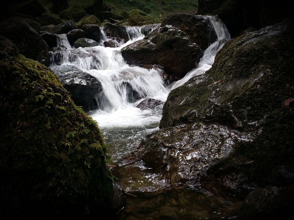 Photograph by Mohammad Ali Ataei Daryaei