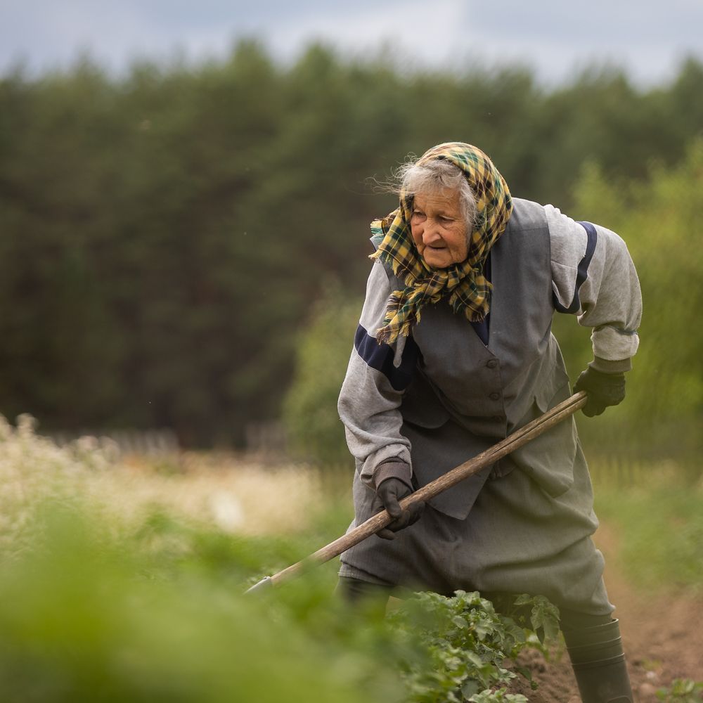 Photograph by Владимир Астахнович