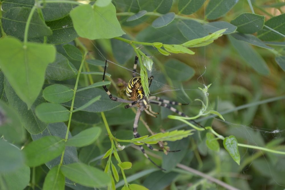 Фотография автора Андрей Хлопонин