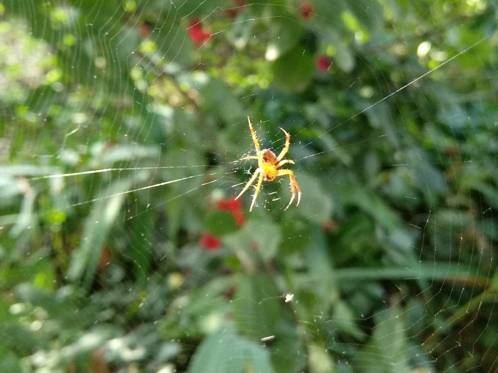 Photograph by Наиля Омарова