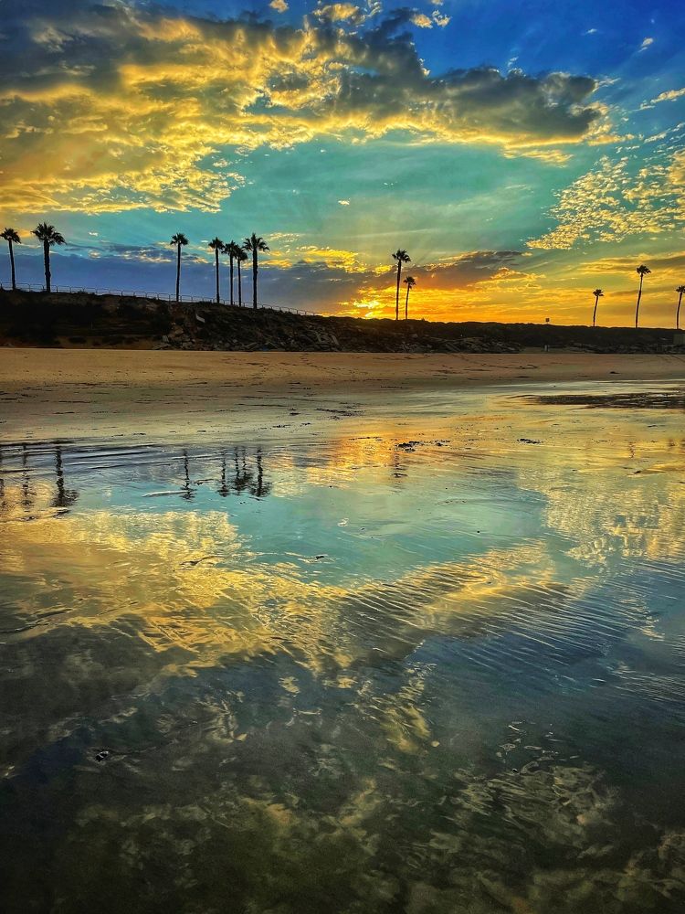 Photograph by Stephanie E’amato