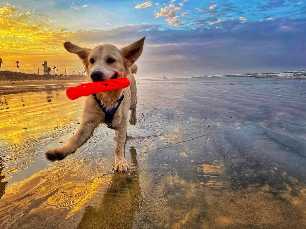 Photograph by Stephanie E’amato