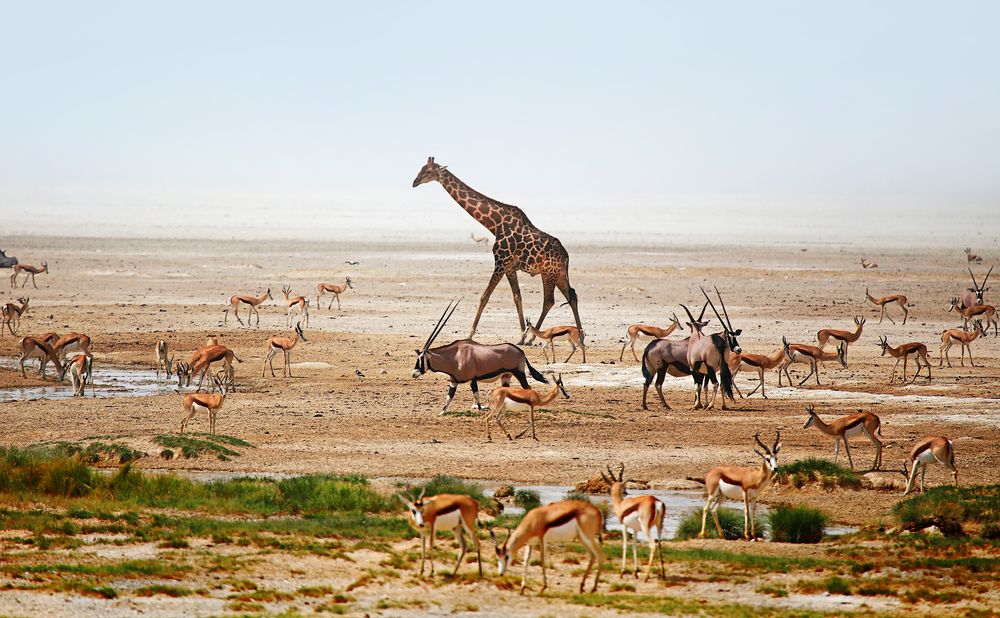 Photograph by Вера