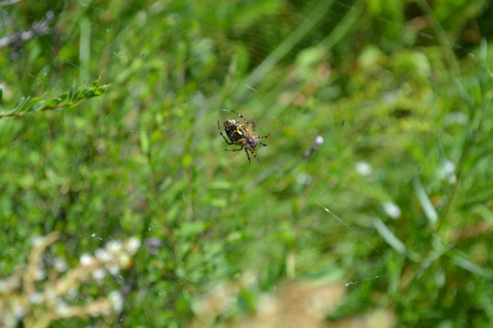 Фотография автора Андрей Хлопонин