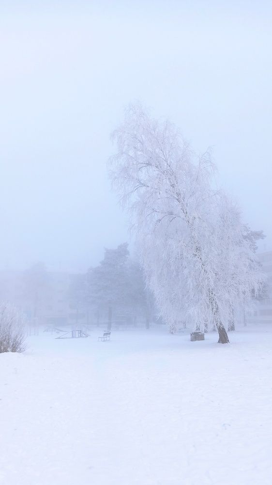 Photograph by Ольга Пономарева