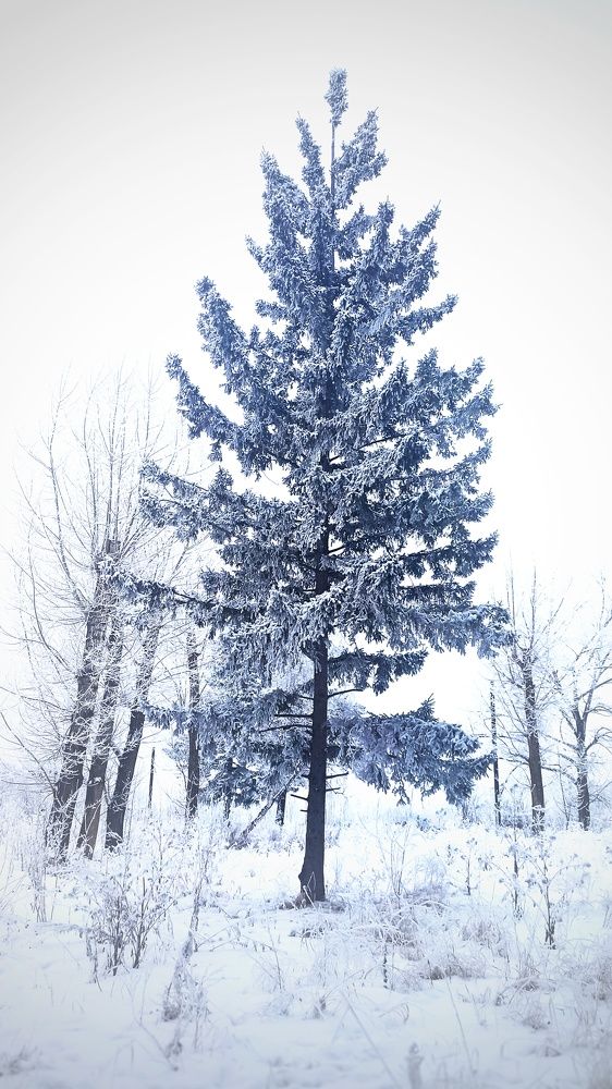 Photograph by Ольга Пономарева