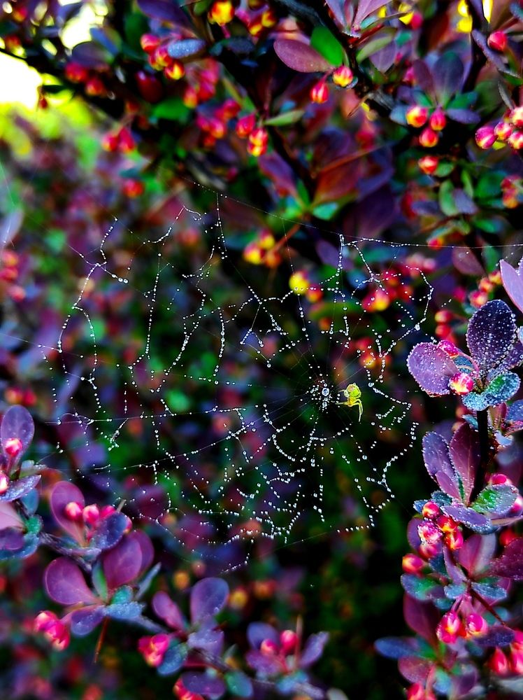 Photograph by Инна Макарчук