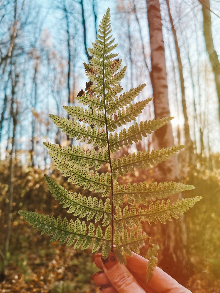 Photograph by Наталья