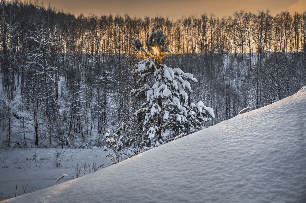 Photograph by Denis Romanov