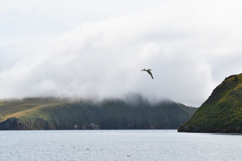 Photograph by Нина