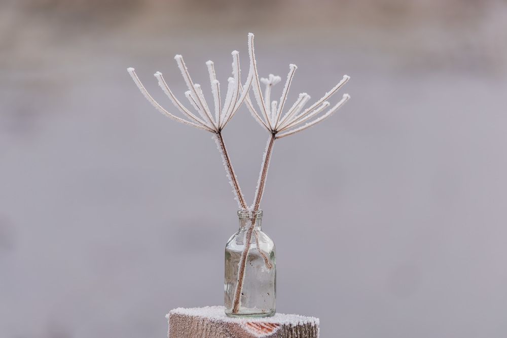 Photograph by Kristina Nutautiene