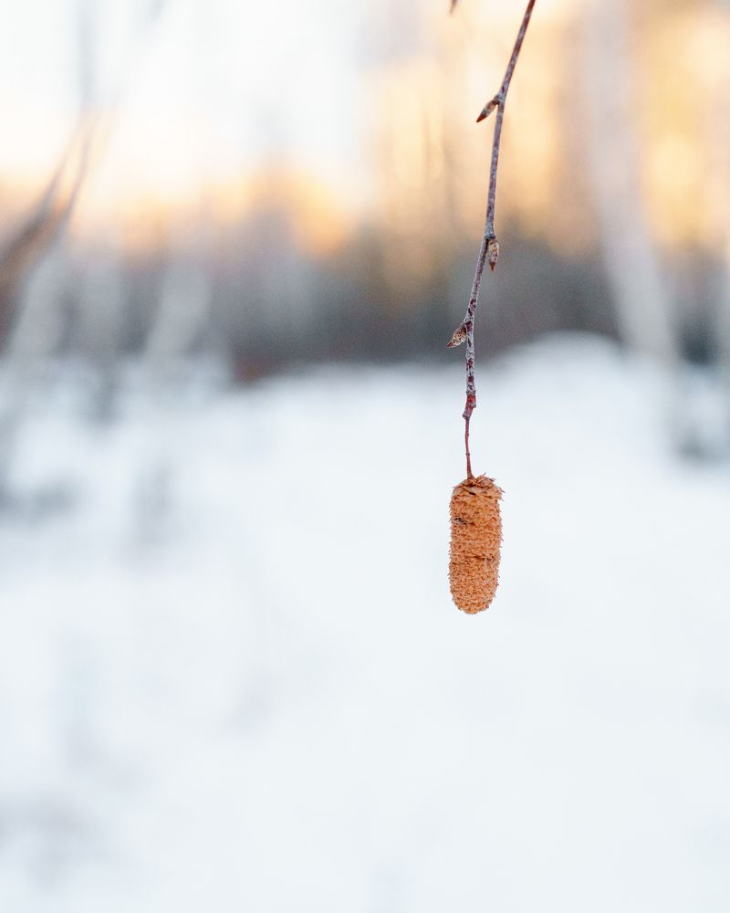 Photograph by Ольга Рачилова