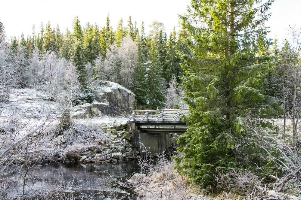 Photograph by Marija Lisickaja