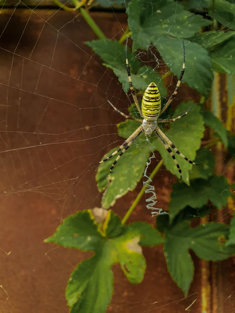 Photograph by Анастасия