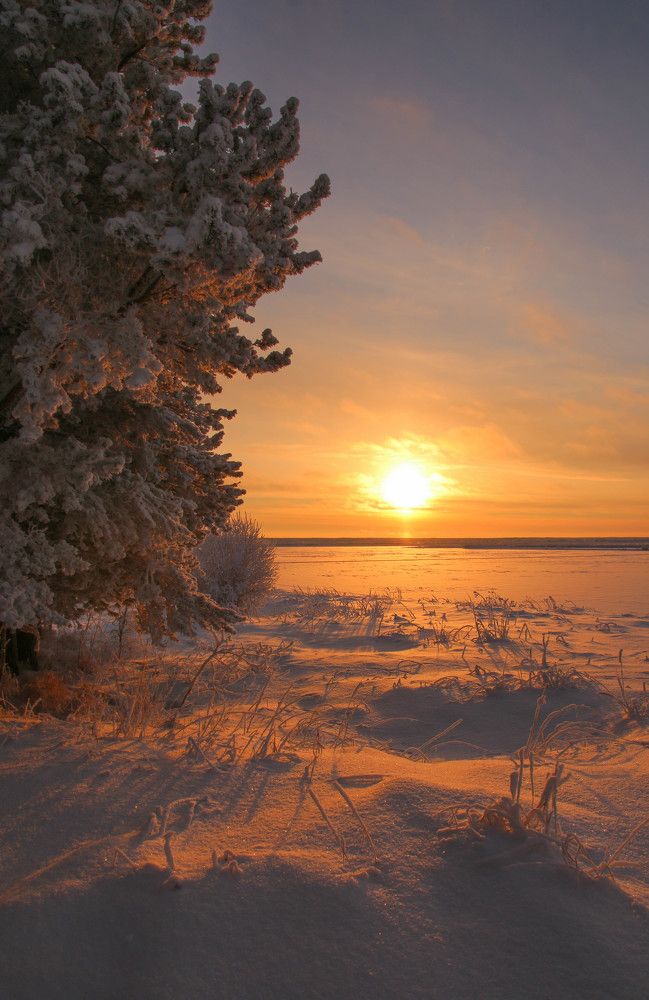 Photograph by Александр Трифанов