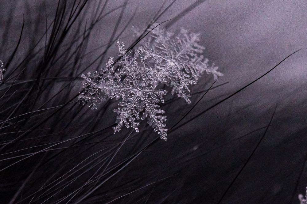 Photograph by Наталья