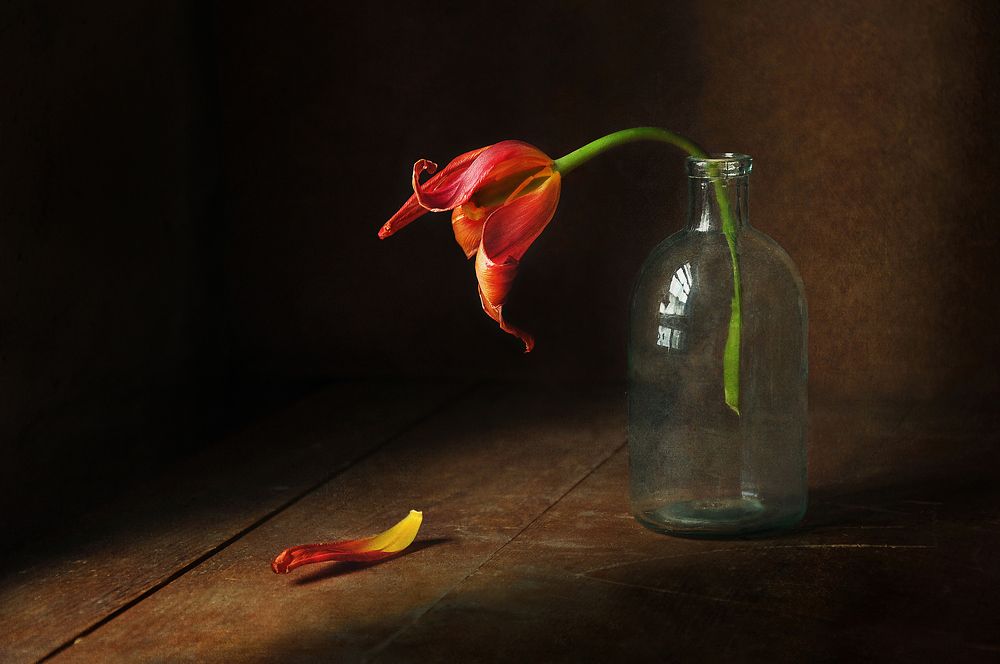 Photograph by Инна Буглак