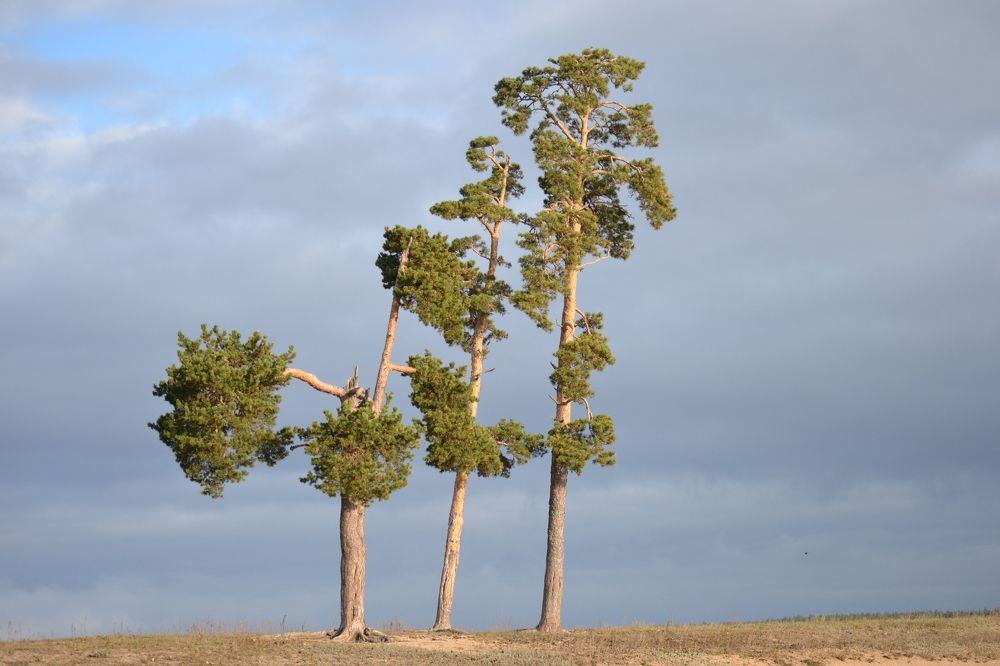 Фотография автора Андрей Хлопонин